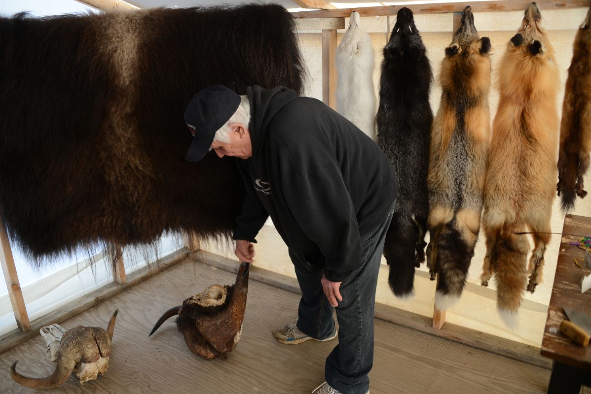08C Billy Jacobson Showing Us Animal Furs And Horns Inside His Showroom On Arctic Ocean Tuk Tour In Tuktoyaktuk Northwest Territories